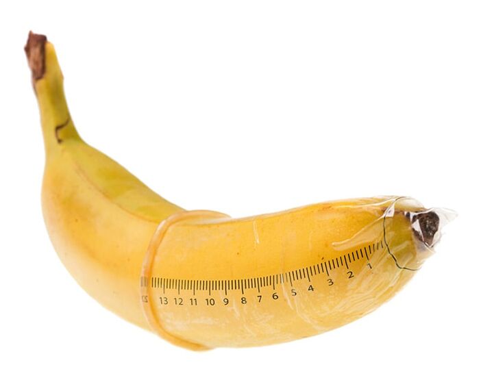Optimalus erekcijos varpos dydis yra 10-16 cm